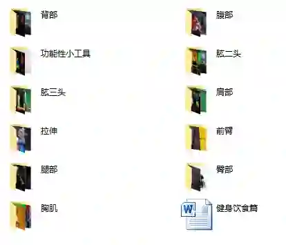 2019国内健身教程精选|实战指南+限时揭秘-启明情感网
