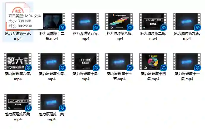 柯李思Chris良叔《魅力原理》实战指南|限时揭秘专属魅力公式-启明情感网