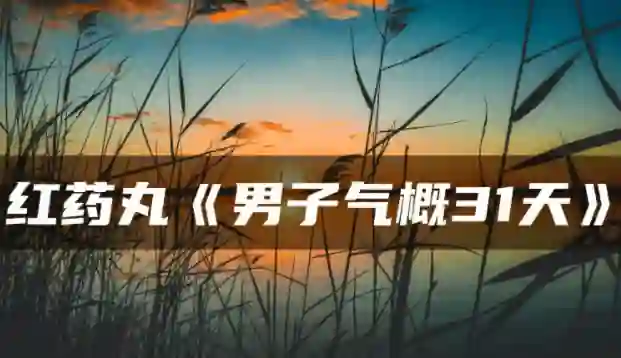 红色药丸《男子气概31天》实战指南：限时揭秘专属成长路径-启明情感网