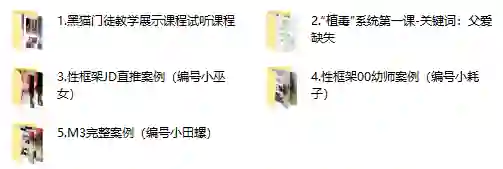 黑猫门徒核心课实战指南:限时揭秘专属成长路径-启明情感网