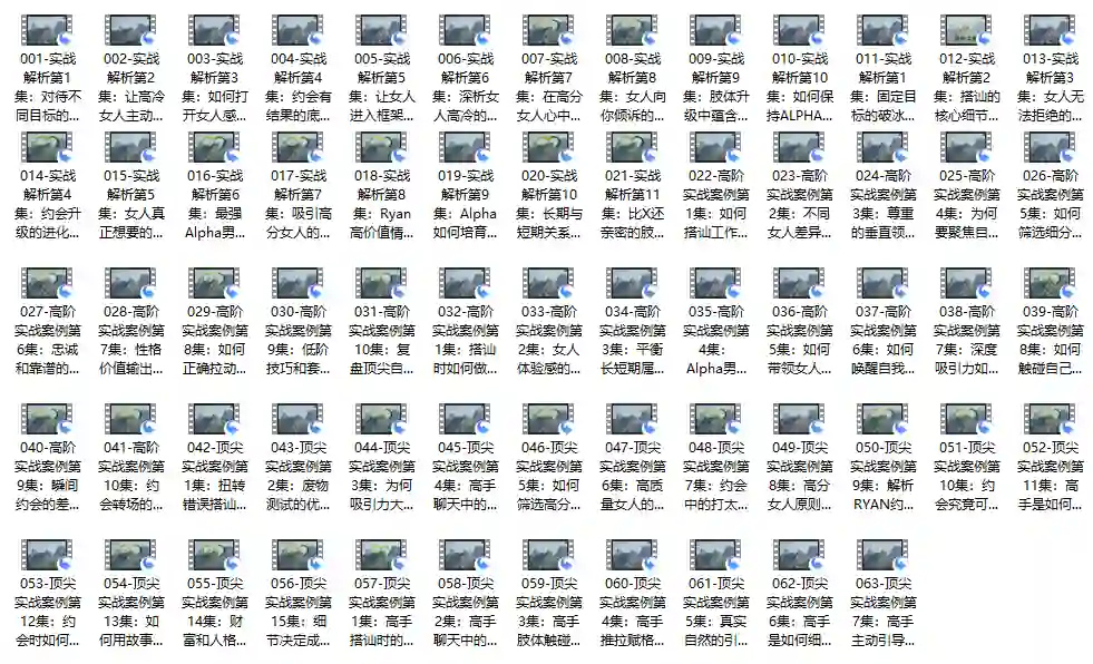 瑞恩自然之道Plus实战指南|价值12800元专属揭秘版【完结】-启明情感网