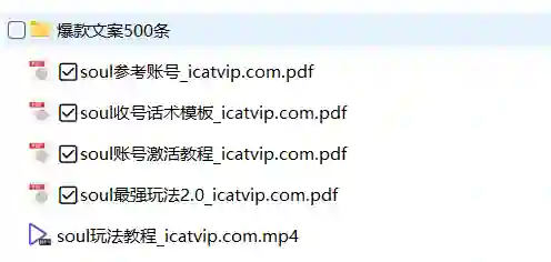 Soul最新玩法实战指南:500条爆款文案限时揭秘-启明情感网