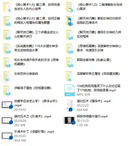 私教专属实战指南：魅男方法V3.0揭秘-启明情感网