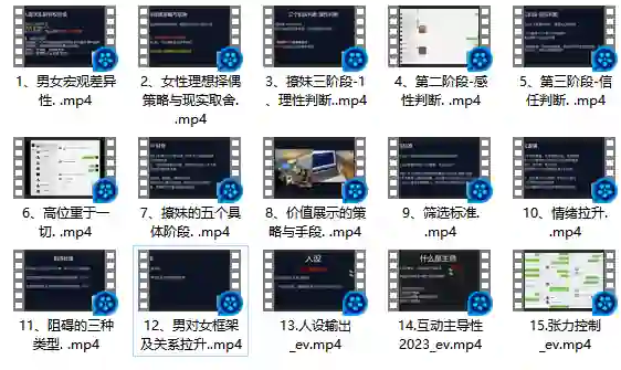 Leon情感5.0实战指南：限时揭秘专属情感提升术-启明情感网