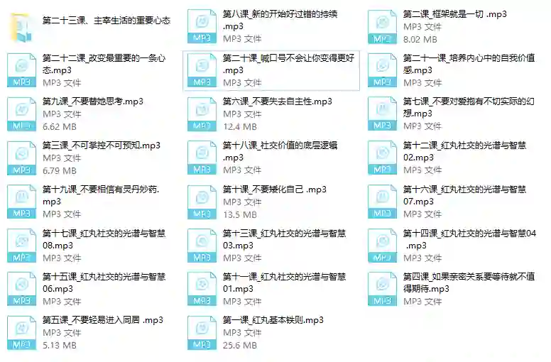 红丸实战指南:十大人生法则限时揭秘-启明情感网