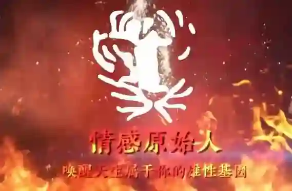 火种情感《情感原始人》实战指南:揭秘原始吸引力法则-启明情感网